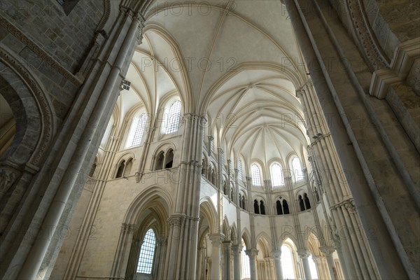 Vezelay labelled les Plus Beaux Villages de France. The nave