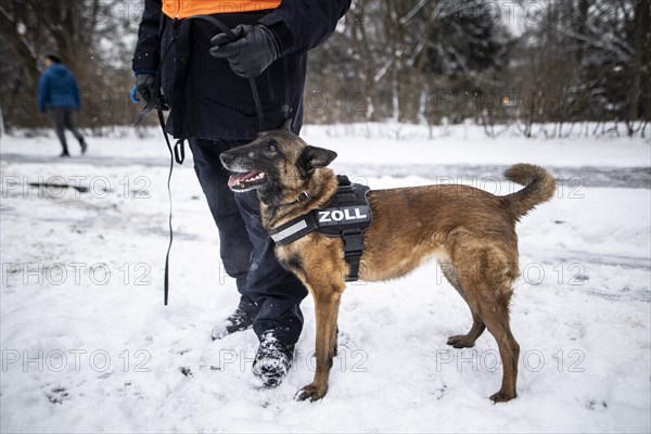 Sniffer dog during a customs check on the Strasse des 17. Juni in Berlin