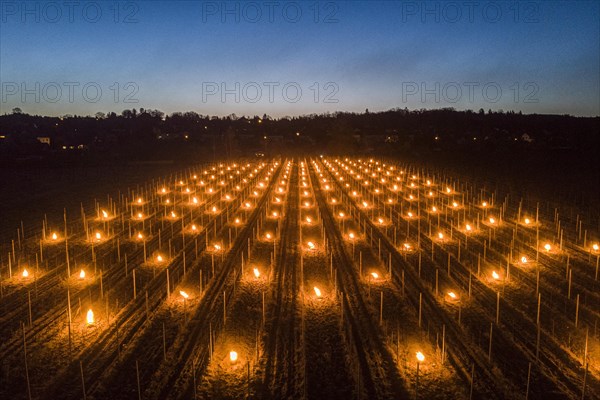 Fires loom on the vineyard of Wackerbarth Castle in Weinboehla