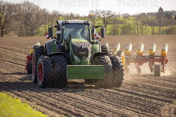 Maize sowing precision drill Vaederstad Tempo