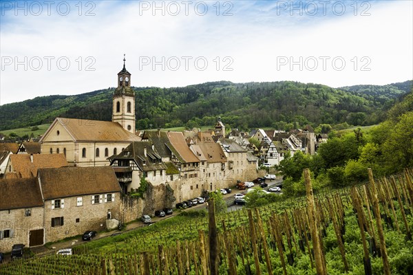 Medieval village in the vineyards