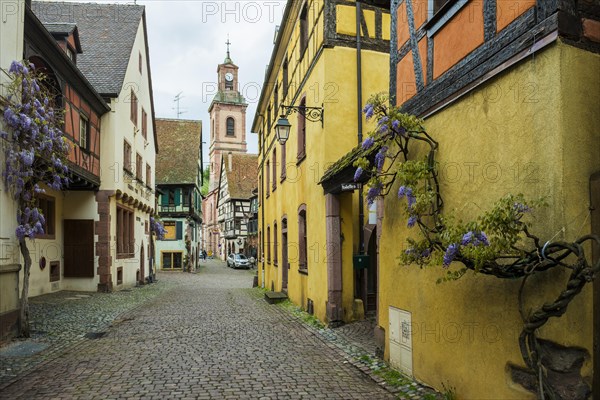 Medieval colourful half-timbered houses