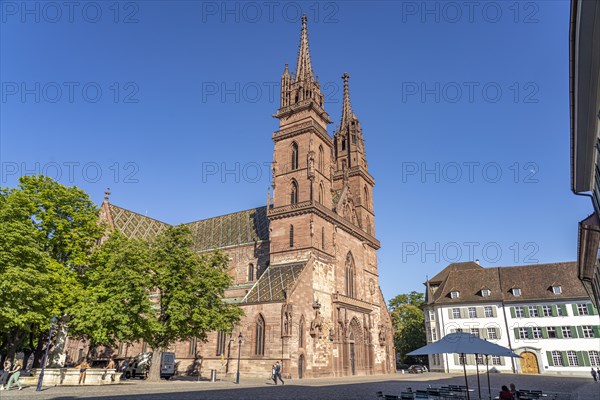 The Basel Minster in Basel