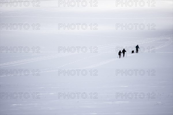 Cross-country skier