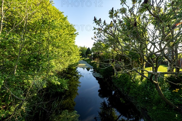 Drainage ditch near Cappel-Neufeld