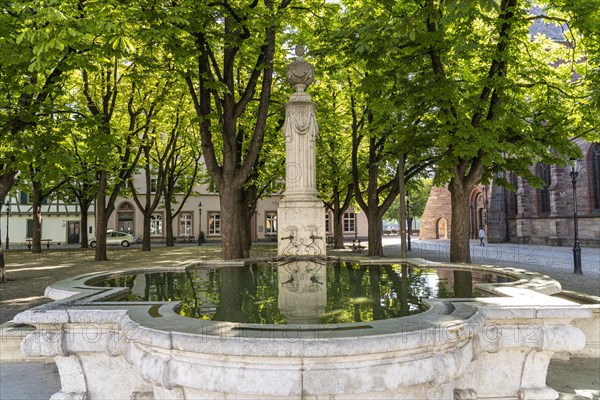 Fountain on Muensterplatz in Basel