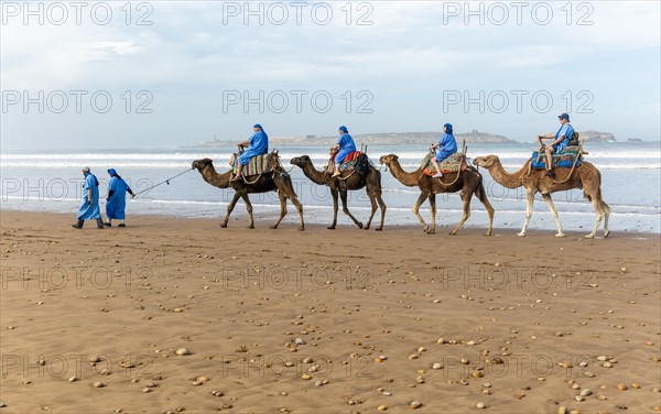 Tourists riding camels on beach dressed in blue Bedouin robes