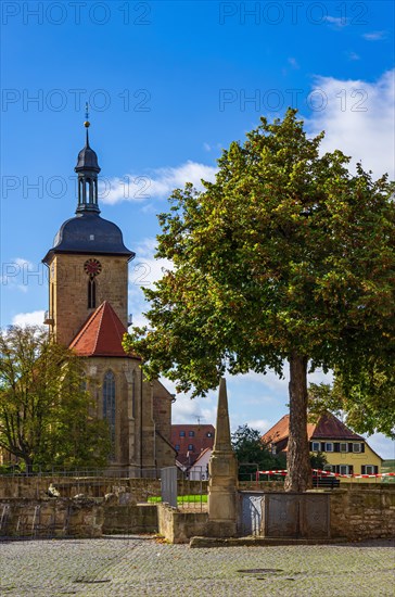 Ansicht der Regiswindis-Kirche von der Grafenburg aus gesehen