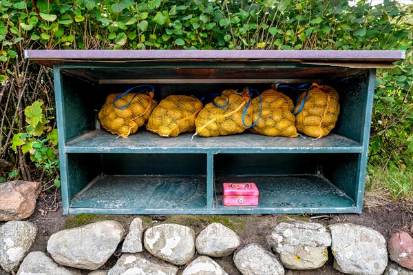 Potatoes under a self-service wooden shelter with cash register on the island of Sylt