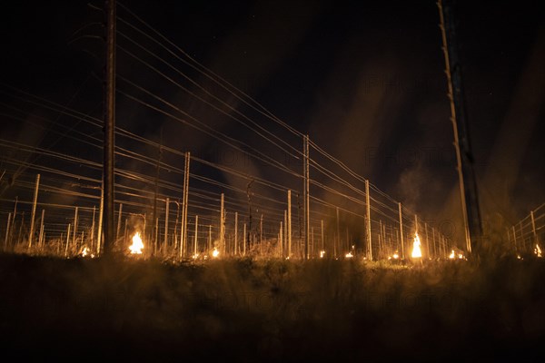 Fires loom on the vineyard of Wackerbarth Castle in Weinboehla