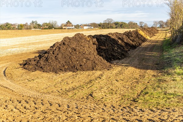 Line of organic animal manure muck fertiliser in field