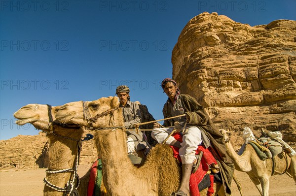 Bedouins with camels in desert