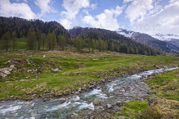 Stream of the Ahr in the Ahrntal