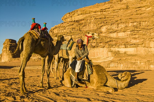 Friendly Bedouin with his camels