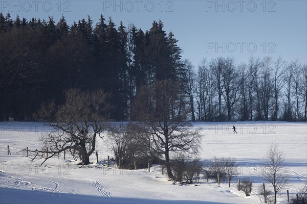 Cross-country skier