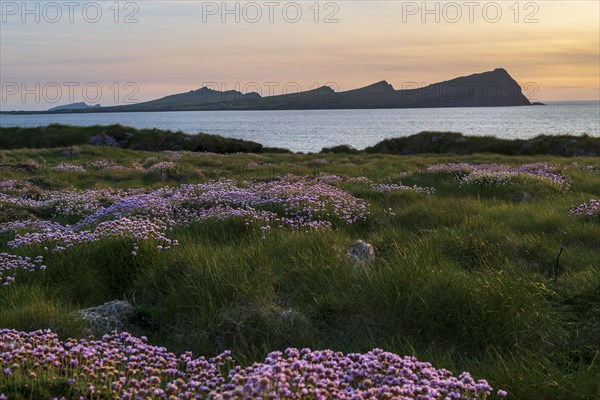 A view of the Three Sisters peaks in Smerwick Harbour