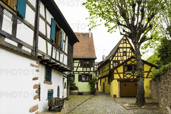 Medieval colourful half-timbered houses