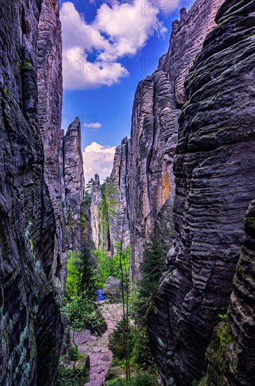 Hiking trail in the Prachovske Skaly