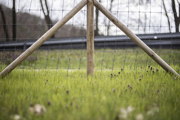 Protective fence against the spread of African swine fever