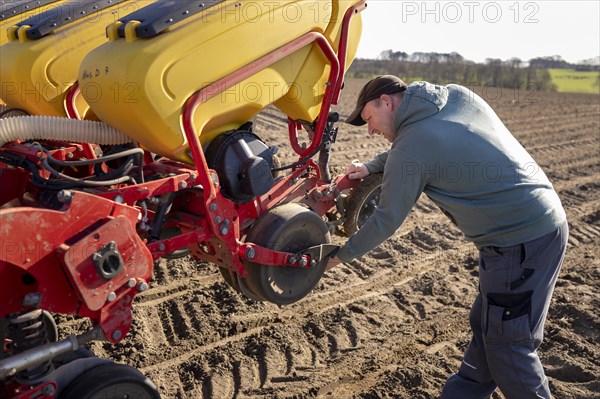 Maize sowing precision drill Vaederstad Tempo