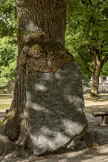 Stone slab