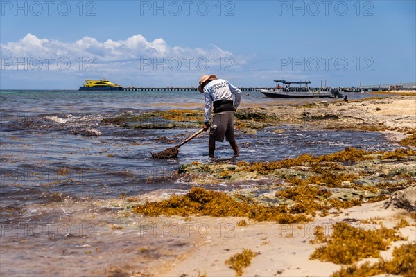 Tired worker collecting