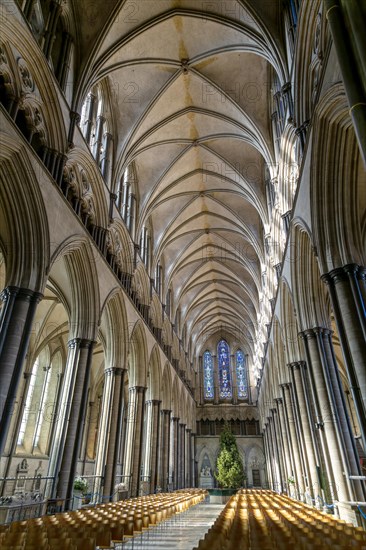 Vaulted nave ceiling roof inside cathedral church