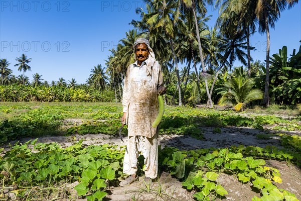 Farmer in the green Oasis of Salalah