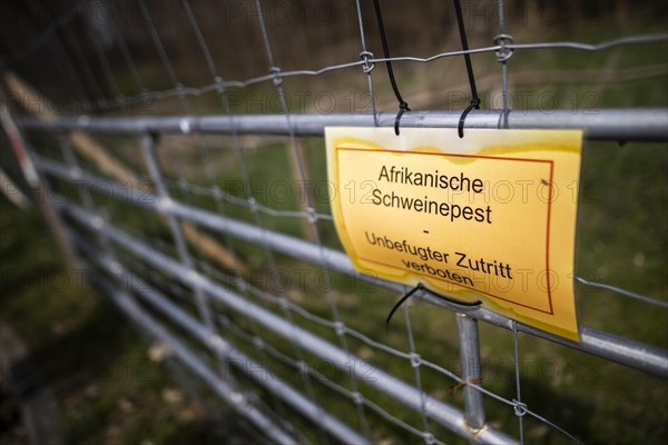 Protective fence against the spread of African swine fever