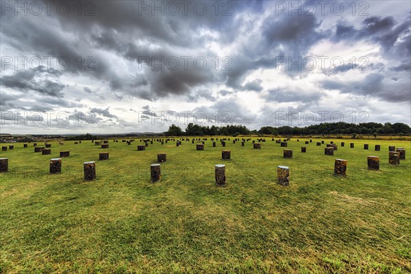 Woodhenge