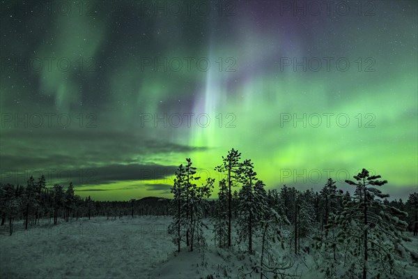 Northern Lights