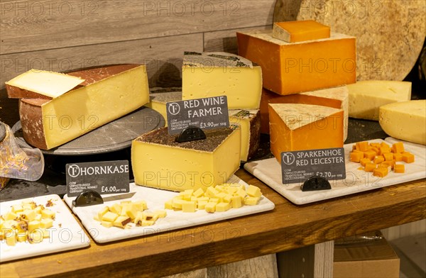 Variety of cheeses on display in cheese room of farm shop