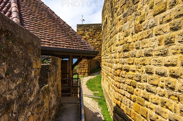 Tour of the Hohenrechberg castle ruins in Rechberg