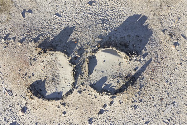 Aerial view over 17th century remains of blubber ovens from Dutch whalers at Smeerenburg on Amsterdam Island