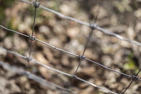 Protective fence against the spread of African swine fever