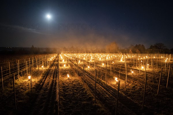 Fires loom on the vineyard of Wackerbarth Castle in Weinboehla