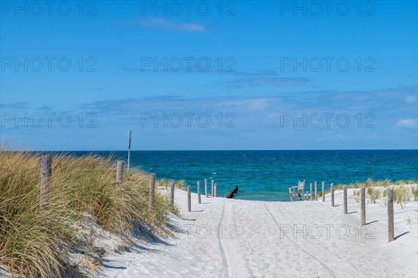 Access through the dunes to the sandy beach of Ahrenshoop