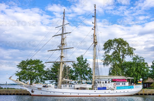 The sail training ship GREIF ex WILHELM PIECK at its berth in the city harbour of Greifswald-Wieck