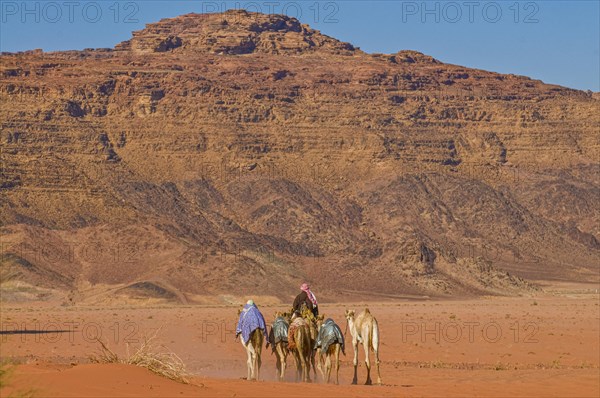 Bedouins with camels in desert