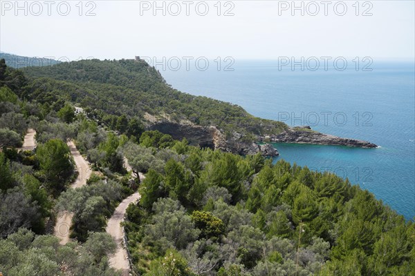 Rocky coast in front of Port de Soller