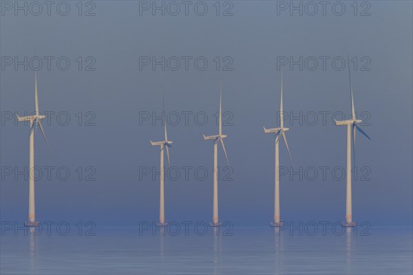 Wind turbines at sea of Lillgrund