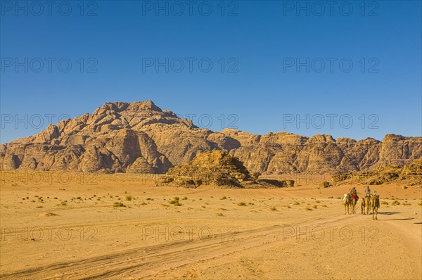 Bedouins with camels in desert