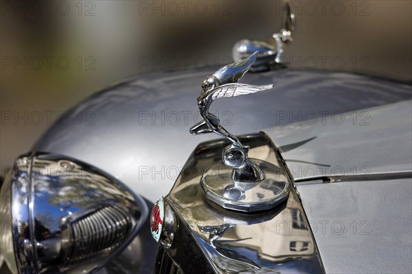 Triumph Roadster radiator mascot