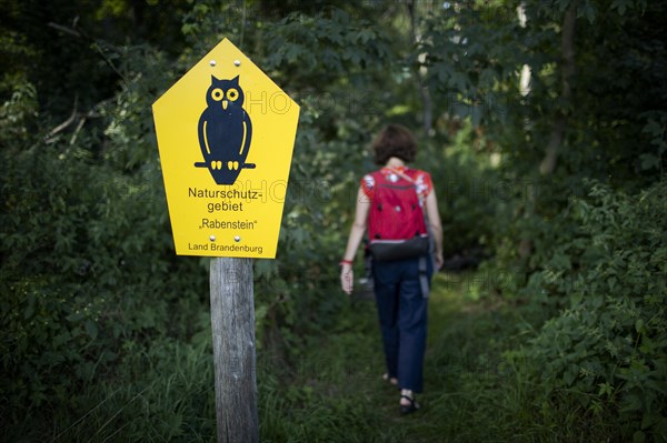 Nature reserve near Rabenstein Castle.