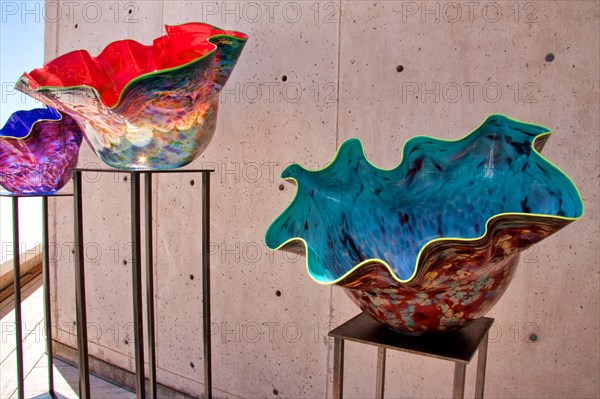 Dale Chihuly's Macchia at the Salk Institute