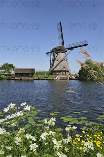 Thatched polder windmill at Kinderdijk