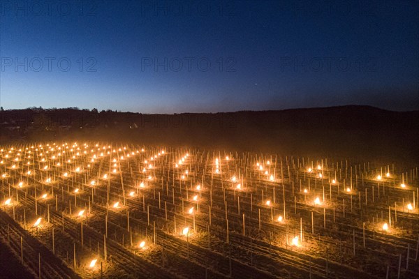 Fires loom on the vineyard of Wackerbarth Castle in Weinboehla