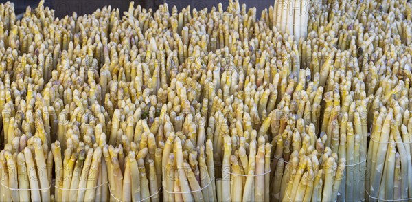 Market stall with fresh asparagus