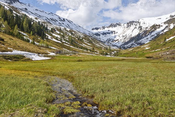 Alpine pasture in the Riedingtal nature park Park