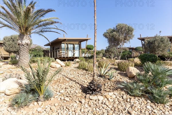 Wooden cabin bungalow in gardens